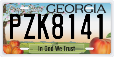 GA license plate PZK8141