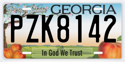 GA license plate PZK8142