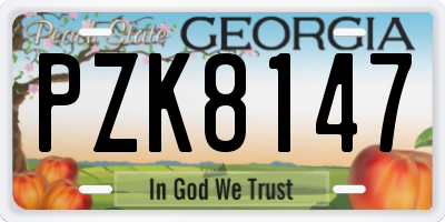 GA license plate PZK8147