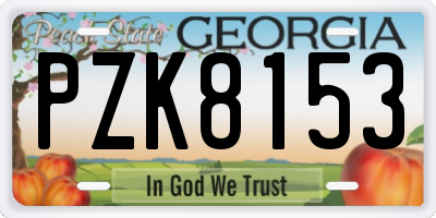 GA license plate PZK8153