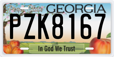 GA license plate PZK8167