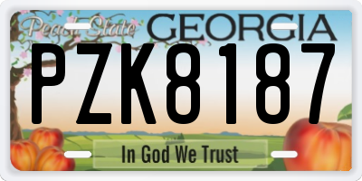 GA license plate PZK8187