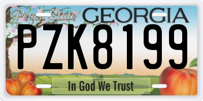 GA license plate PZK8199