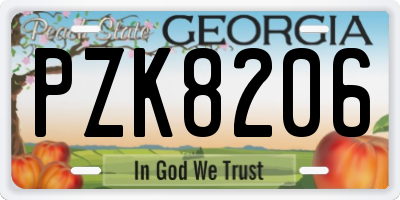 GA license plate PZK8206