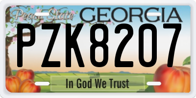GA license plate PZK8207