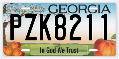 GA license plate PZK8211