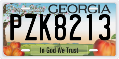 GA license plate PZK8213