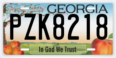 GA license plate PZK8218