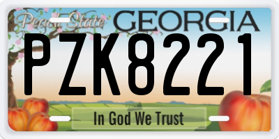 GA license plate PZK8221
