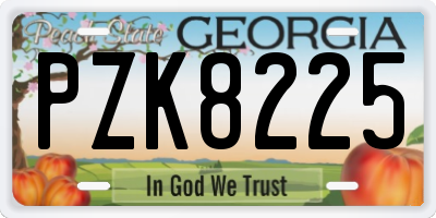 GA license plate PZK8225