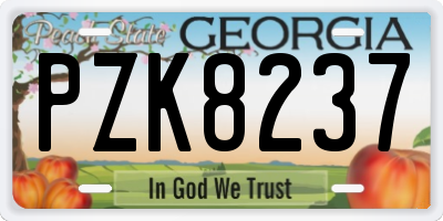 GA license plate PZK8237