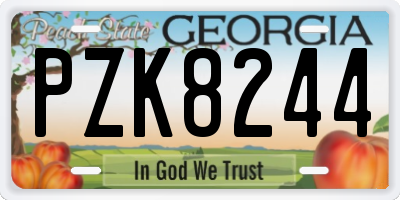 GA license plate PZK8244