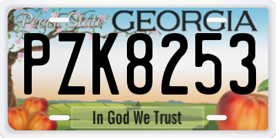 GA license plate PZK8253