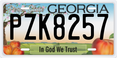 GA license plate PZK8257