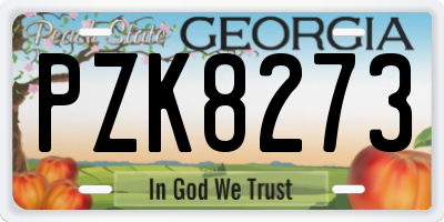 GA license plate PZK8273