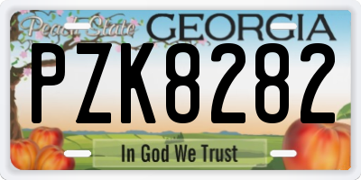 GA license plate PZK8282