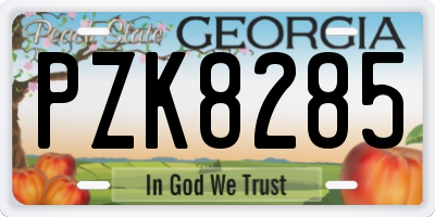 GA license plate PZK8285