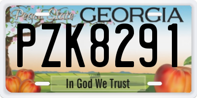 GA license plate PZK8291