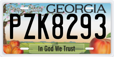 GA license plate PZK8293