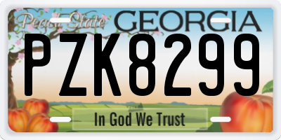 GA license plate PZK8299