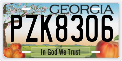 GA license plate PZK8306