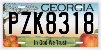 GA license plate PZK8318