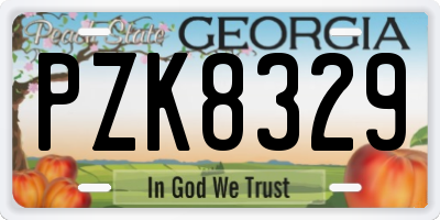 GA license plate PZK8329