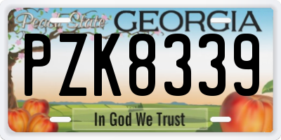 GA license plate PZK8339
