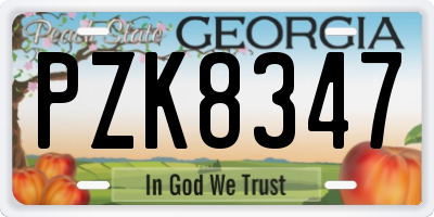 GA license plate PZK8347