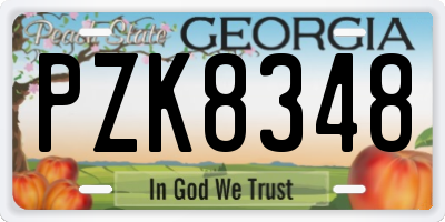 GA license plate PZK8348