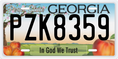 GA license plate PZK8359