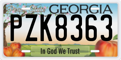 GA license plate PZK8363