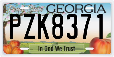 GA license plate PZK8371
