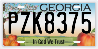 GA license plate PZK8375