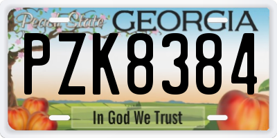 GA license plate PZK8384