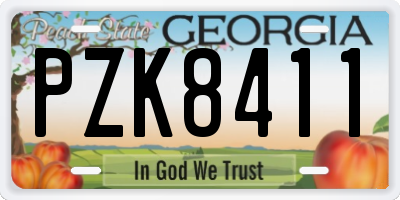 GA license plate PZK8411