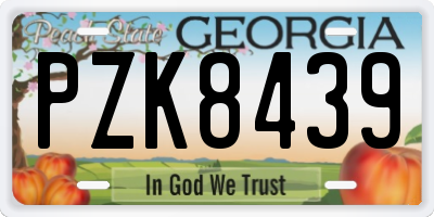 GA license plate PZK8439
