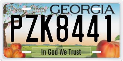 GA license plate PZK8441