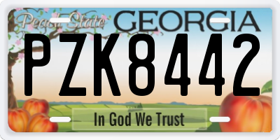GA license plate PZK8442