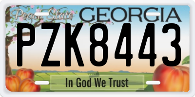 GA license plate PZK8443