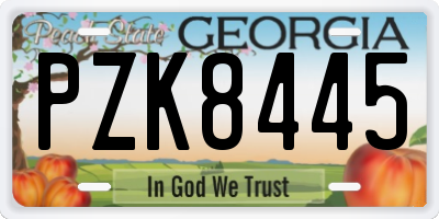 GA license plate PZK8445
