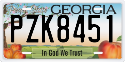 GA license plate PZK8451