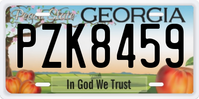 GA license plate PZK8459