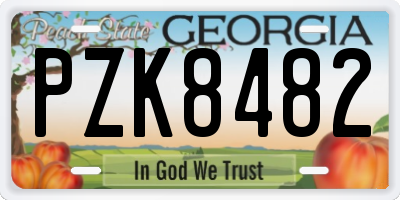 GA license plate PZK8482