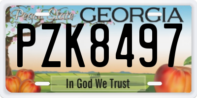 GA license plate PZK8497