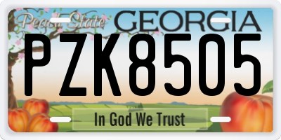GA license plate PZK8505