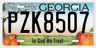 GA license plate PZK8507