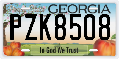 GA license plate PZK8508