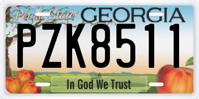 GA license plate PZK8511