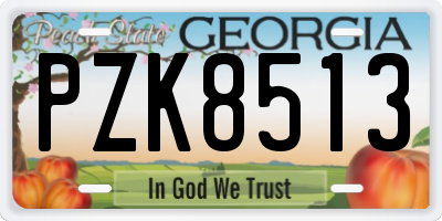 GA license plate PZK8513